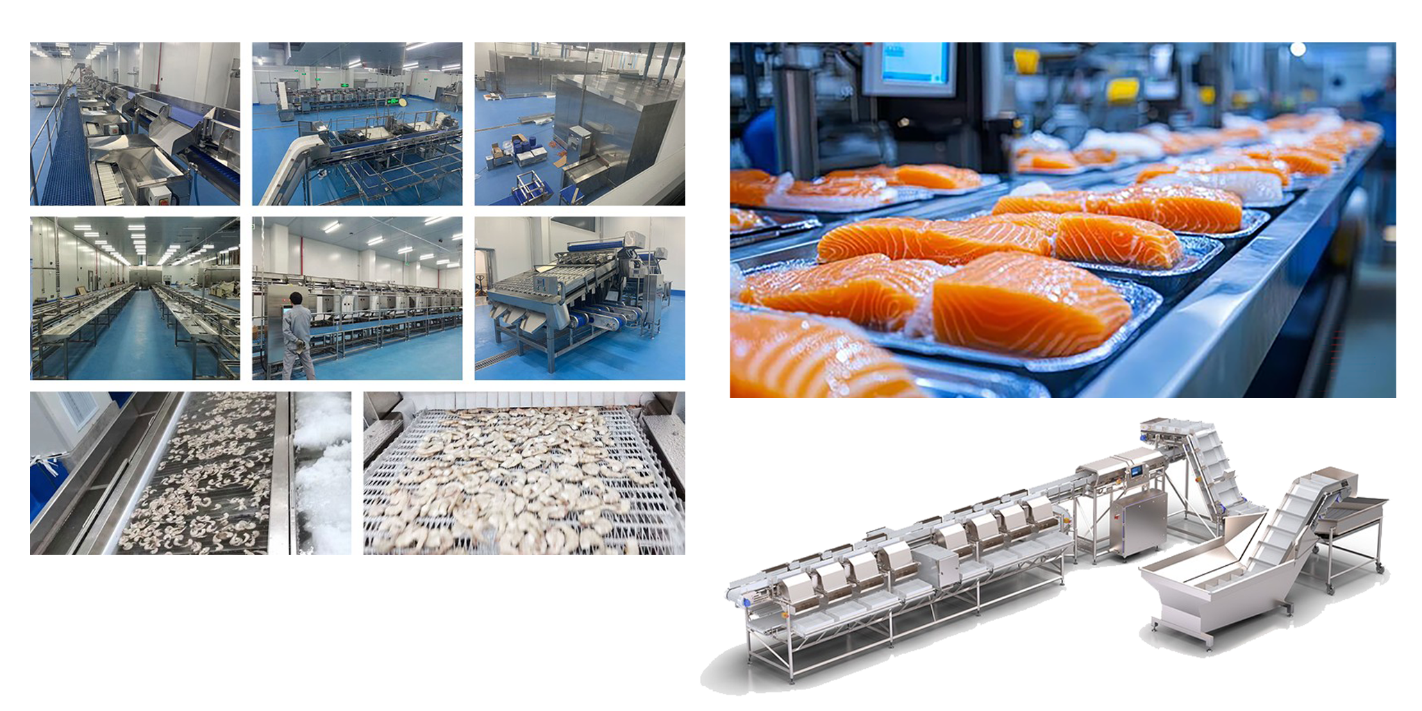 Seafood Products Production Line